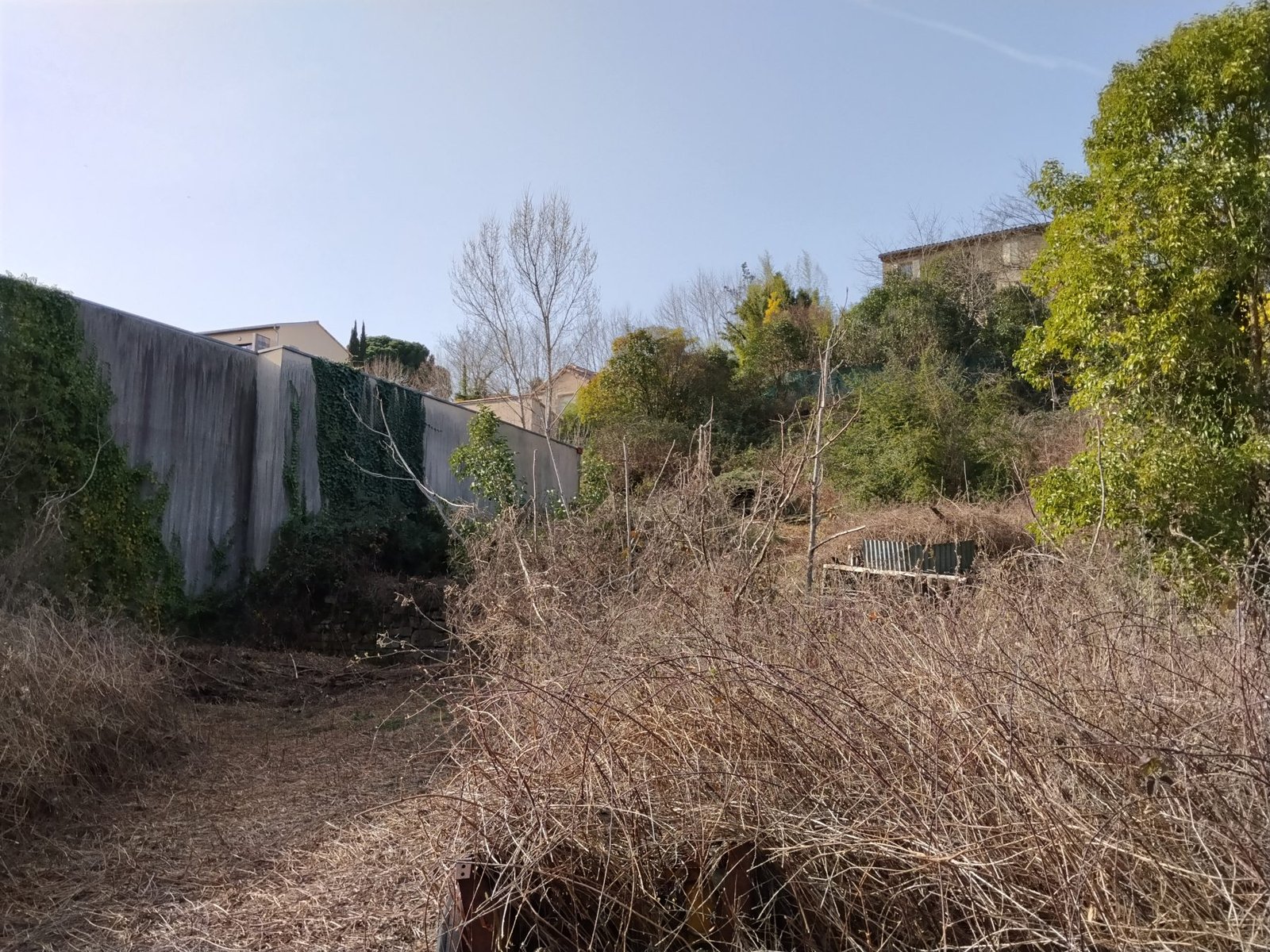 Le même endroit après démontage du cèdre et dégagement du terrain
