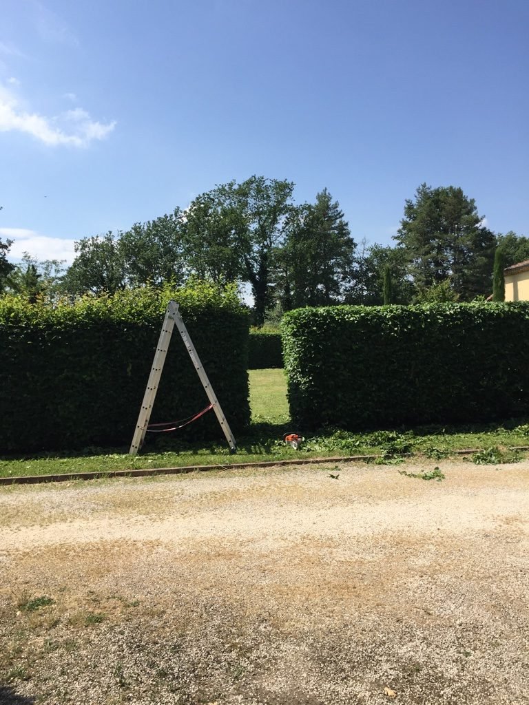 Taille de haie et ouverture d'un passage